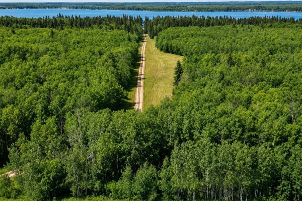 Turtle Lake Evergreen Acres, Turtle Lake, SK, photo 2