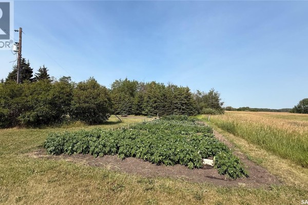 Large garden beds with green plants in a field with trees and blue sky. - Turtleford Acreage., Mervin Rm No 499
