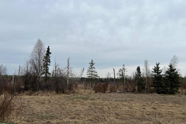 Twp 484 & Rr84, Rural Brazeau County, AB, photo 3
