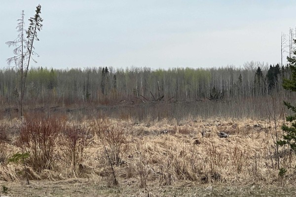Twp 484 & Rr84, Rural Brazeau County, AB T7A2A1 Photo 4