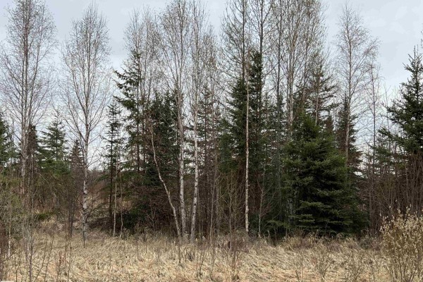 Twp 484 & Rr84, Rural Brazeau County, AB T7A2A1 Photo 5