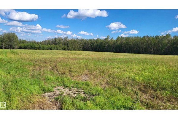 Twp 491 Range Road 73, Rural Brazeau County, AB, photo 3