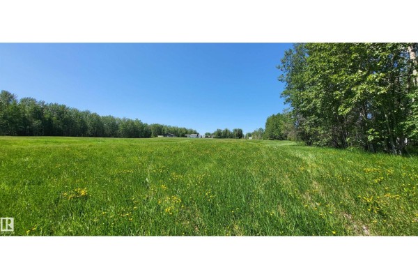 Twp 491 Range Road 73, Rural Brazeau County, AB T7A2A2 Photo 5