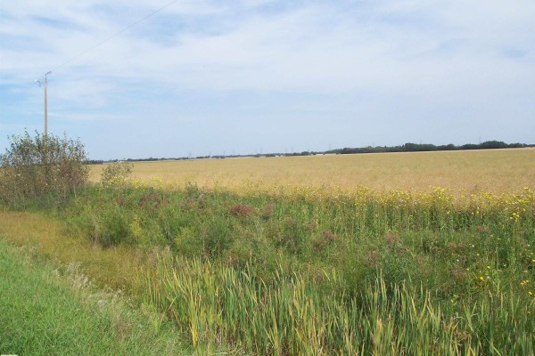 Twp 551 Rr234, Rural Sturgeon County, AB T8T2A7 Photo 2
