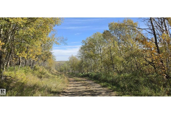 Twp Rd 460 And Rge Rd 230, Rural Wetaskiwin County, AB T9A1W9 Photo 2