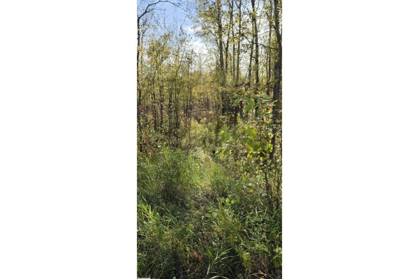 Twp Rd 460 And Rge Rd 230, Rural Wetaskiwin County, AB T9A1W9 Photo 3