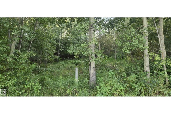 Twp Rd 540 & Range Rd 35, Rural Lac Ste  Anne County, AB, photo 3