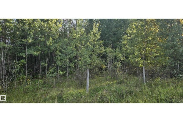 Twp Rd 540 & Range Rd 35, Rural Lac Ste  Anne County, AB T0E0A0 Photo 4