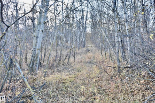 Twp Rd 574 Rr 93, Rural St  Paul County, AB, photo 3