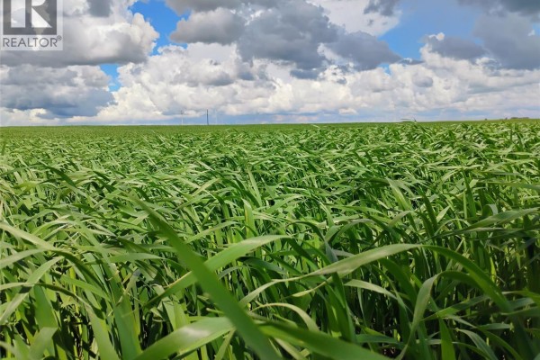 Tyvan Farm, Wellington Rm No  97, SK, photo 2