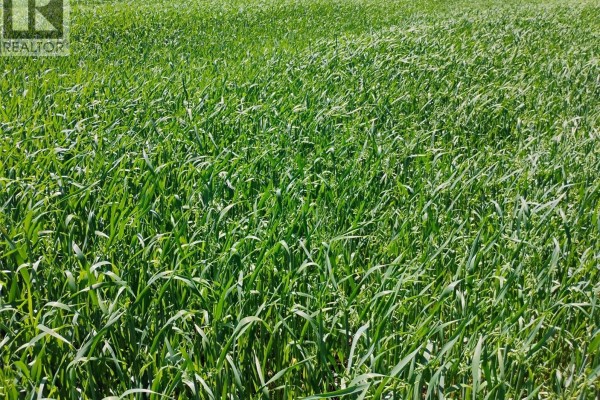 Tyvan Farm, Wellington Rm No  97, SK S0G4X0 Photo 4