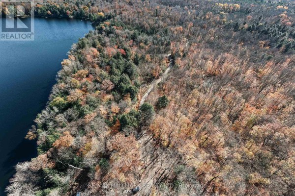 Unit 11 Lot 5 - 1310 Camel Lake Road, Muskoka Lakes, ON P1L1X4 Photo 2