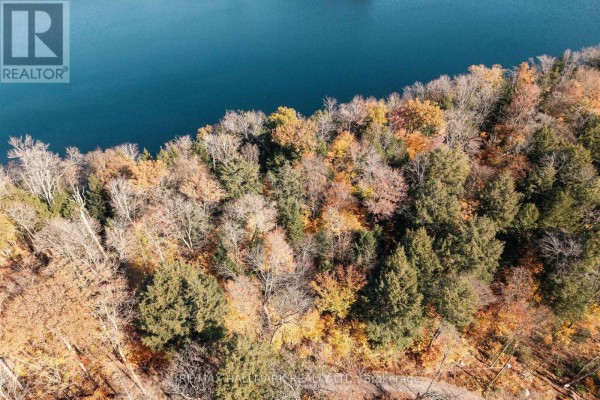 Unit 11 Lot 5 - 1310 Camel Lake Road, Muskoka Lakes, ON P1L1X4 Photo 4