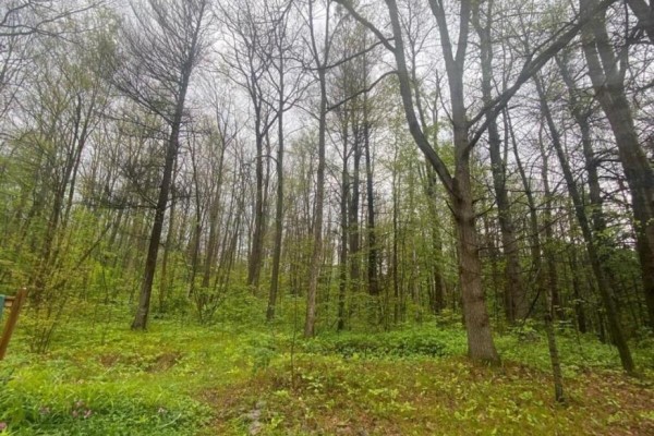 Unit 154 - 248 Pinnacle Hill Road N, Alnwick/haldimand, ON, photo 3