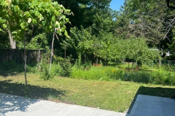 Unit 3 - 61 Glady's Road, Toronto, ON M1C1C7 Photo 4