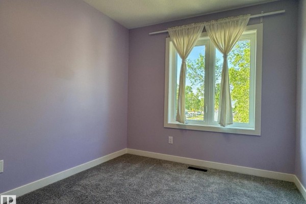 #upper 10125 116 Av Nw Nw, Edmonton, AB T5G2T5 Photo 5