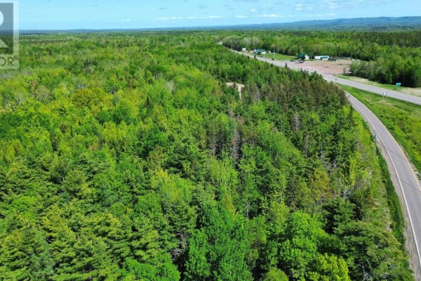 V/l 368 Highway, Wentworth, NS B0M1Z0 Photo 4