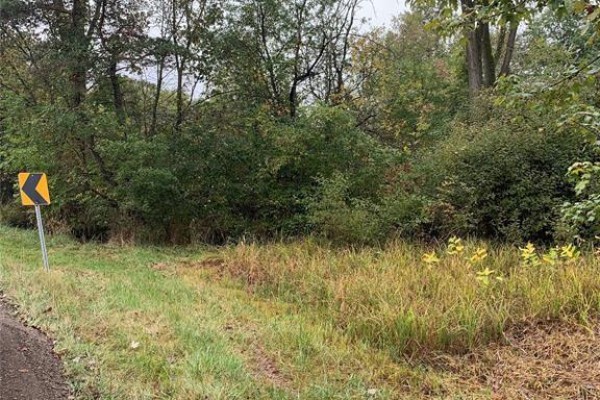 V/l Brush Side Road, Essex, ON, photo 2