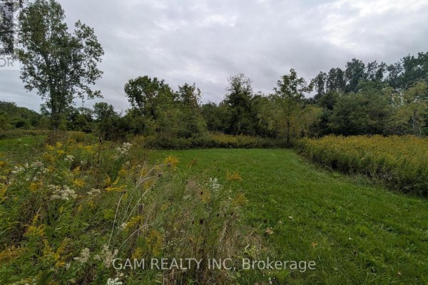 V/l County Road 46 Road, Lakeshore, ON N0P1J0 Photo 2