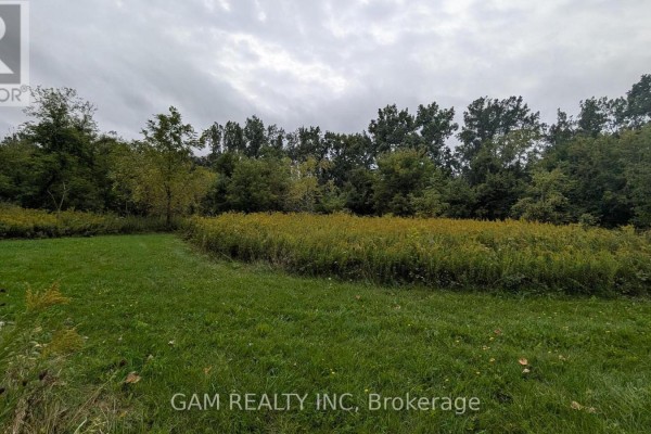 V/l County Road 46 Road, Lakeshore, ON N0P1J0 Photo 3