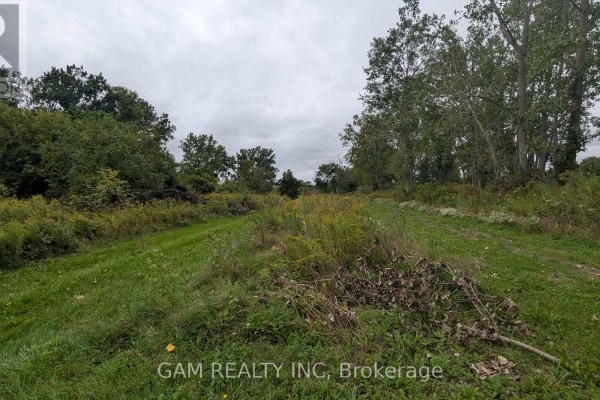 V/l County Road 46 Road, Lakeshore, ON N0P1J0 Photo 4