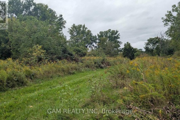 V/l County Road 46 Road, Lakeshore, ON N0P1J0 Photo 5