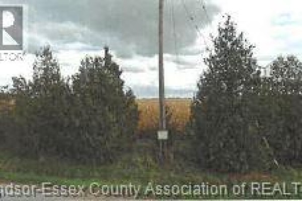 V/l East Ruscom River Unit# Middle Lot, Lakeshore, ON N0R1S0 Photo 4