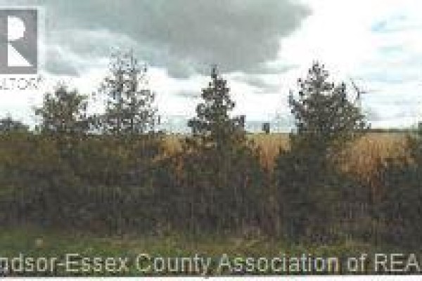 V/l East Ruscom River Unit# Southern, Lakeshore, ON N0R1S0 Photo 4
