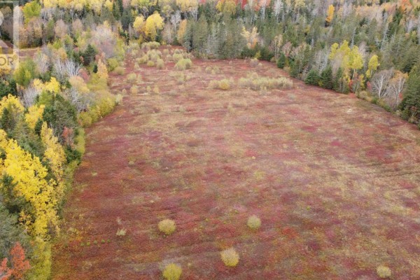 V/l Gould Road, Upper Nappan, NS B4H3Y4 Photo 3