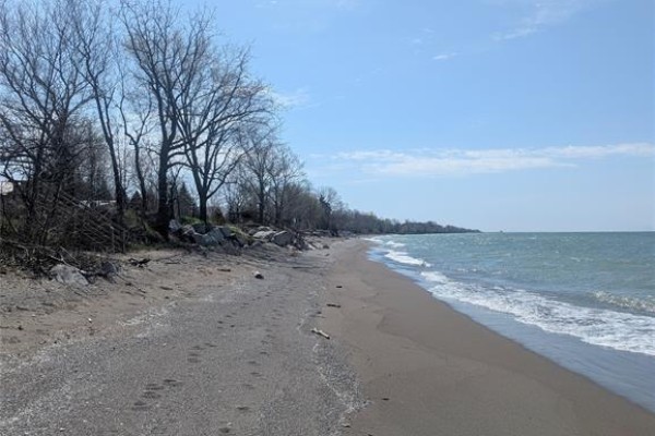 V/l Old Vine Road, Pelee Island, ON N0R1M0 Photo 4