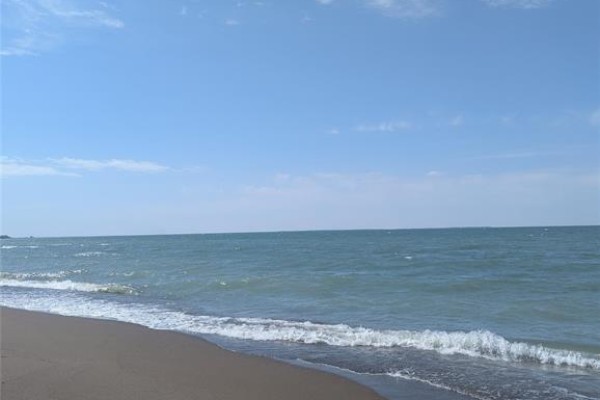 V/l Old Vine Road, Pelee Island, ON N0R1M0 Photo 5