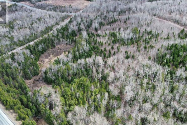 V/l Thomson Road, Birchwood, NS B0M1P0 Photo 5