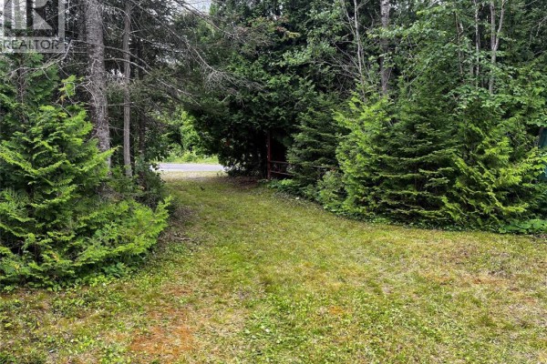 Grassy path winds between dense evergreen trees and deciduous trees towards a road. - V/l Warner Bay Road, Bruce County
