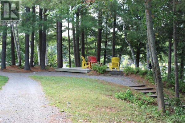 V1, W1 - 1020 Birch Glen Road, Lake Of Bays, ON, photo 3