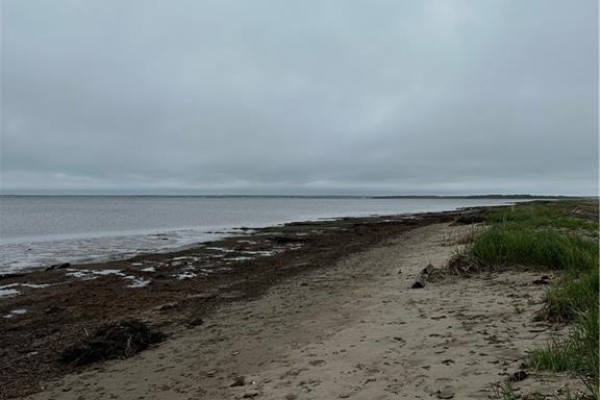 Vacant  Lot Beausoleil Street, Grande Digue, NB E4R3W2 Photo 2