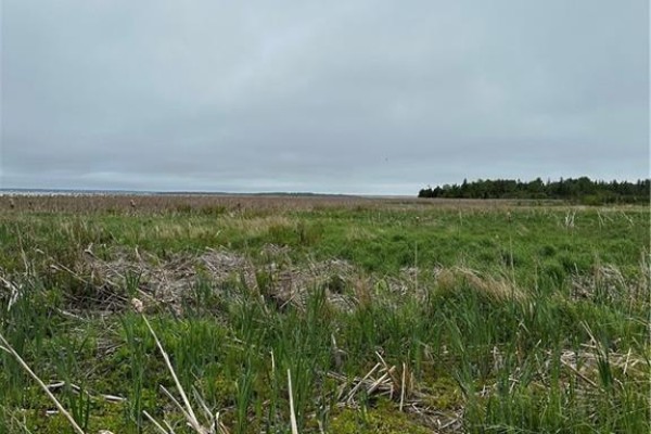 Vacant  Lot Beausoleil Street, Grande Digue, NB E4R3W2 Photo 4