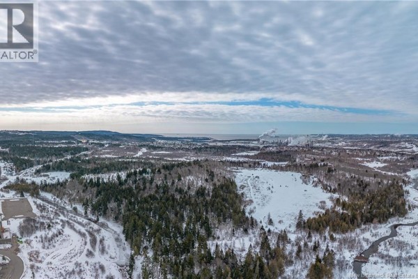 Wide view of forested land and snow, with a glimpse of the coastline in the background. - Vacant Grandview Avenue, Saint John