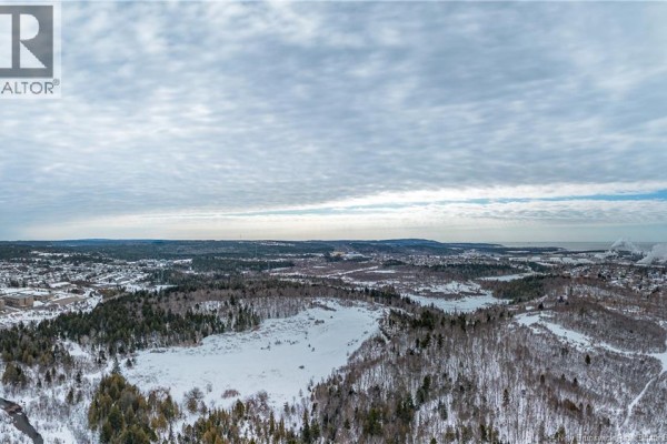 Expansive view of snow-covered landscape with trees and distant mountains under a cloudy sky. - Vacant Grandview Avenue, Saint John