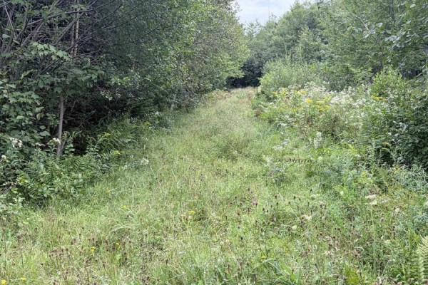 Vacant Land (pid 80045784) Oak Park Road, Oak Park, NS B0W1E0 Photo 2