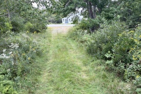 Vacant Land (pid 80045784) Oak Park Road, Oak Park, NS B0W1E0 Photo 3