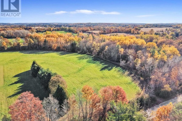 Vacant Land At 181 Forget Road, Alnwick/haldimand, ON K0K1M0 Photo 3
