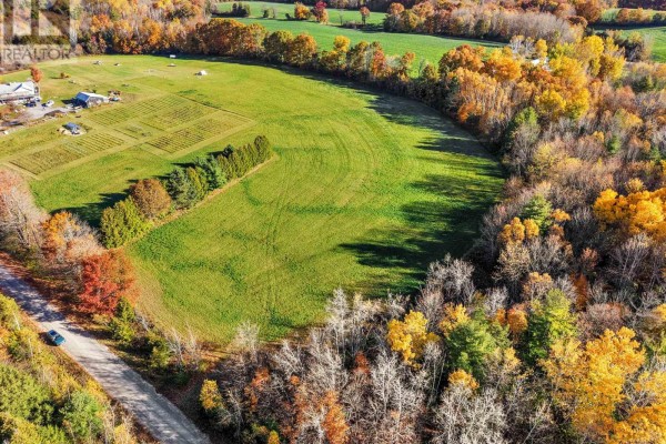 Vacant Land At 181 Forget Road, Alnwick/haldimand, ON K0K1M0 Photo 4