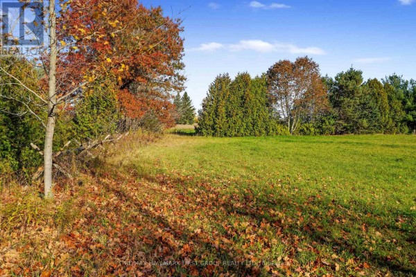Vacant Land At 181 Forget Road, Alnwick/haldimand, ON K0K1M0 Photo 5