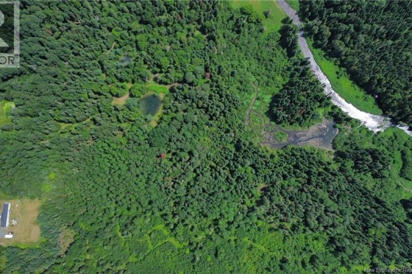 Vacant Land Black Brook Road, Glassville, NB E7L1R7 Photo 4