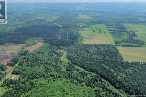 Vacant Land Black Brook Road, Glassville, NB E7L1R7 Photo 5