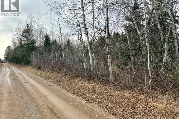 Vacant Land Cook Rd, Blackland, NB E8E2T9 Photo 2