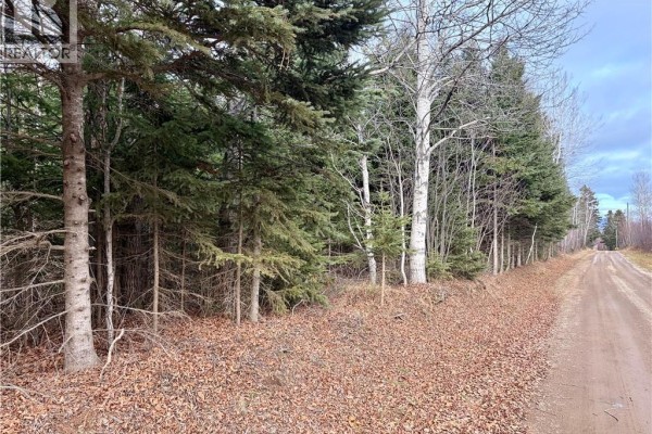 Vacant Land Cook Rd, Blackland, NB E8E2T9 Photo 3