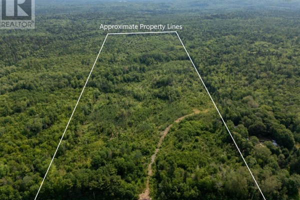 Aerial view of wooded land within approximate property lines, featuring a dirt track. - Vacant Land Highway 8, Graywood