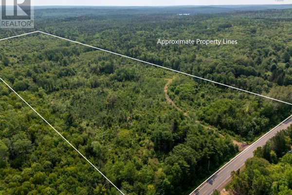 Aerial view showing approximate property lines, Highway 8, and surrounding dense forest. - Vacant Land Highway 8, Graywood