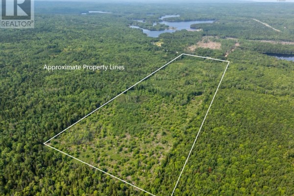 Aerial view of wooded land with white lines, showing a distant lake through the trees. - Vacant Land Highway 8, Graywood